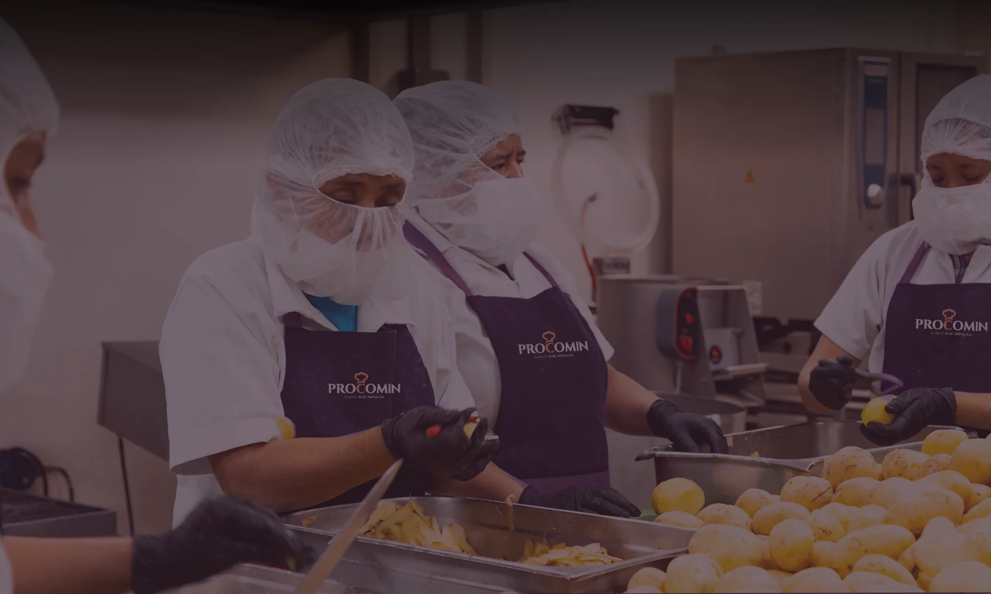 Equipo de cocina de PROCOMIN